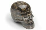 Polished Stromatolite (Greysonia) Skull - Bolivia #216718-1
